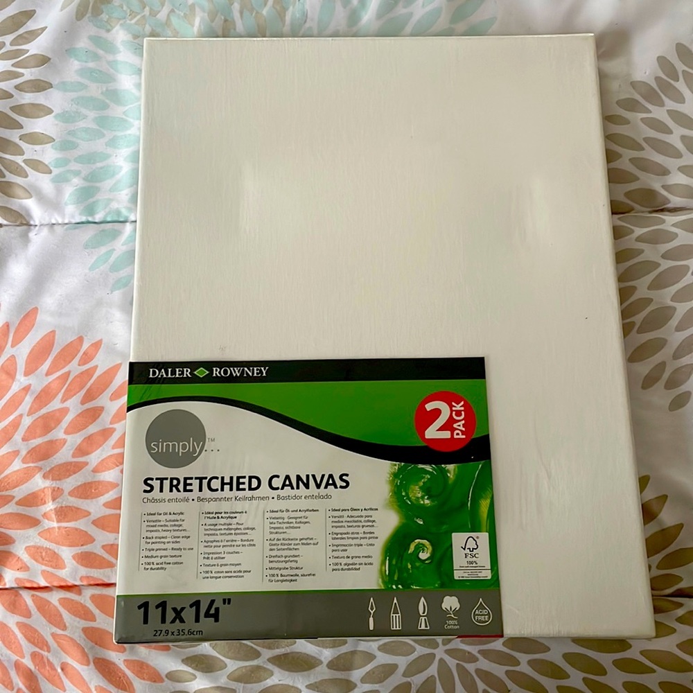 2 11x14” art canvases